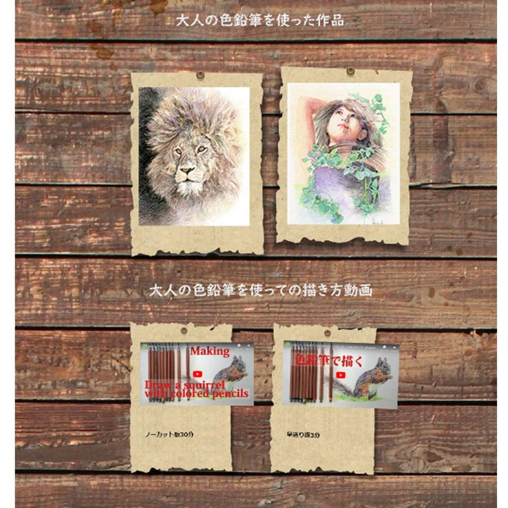 Kitaboshi 2mm Color Lead 26pcs set 13 colors for Limited Edition 70th Anniversary Release Kitaboshi Mechanical Pencil