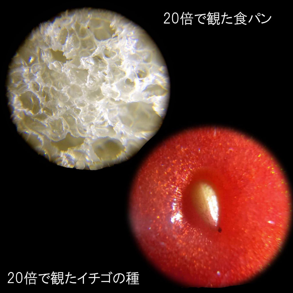 Raymay Fujii Handheld Microscope ‎RXT150M Handy Portable Science Student Petit