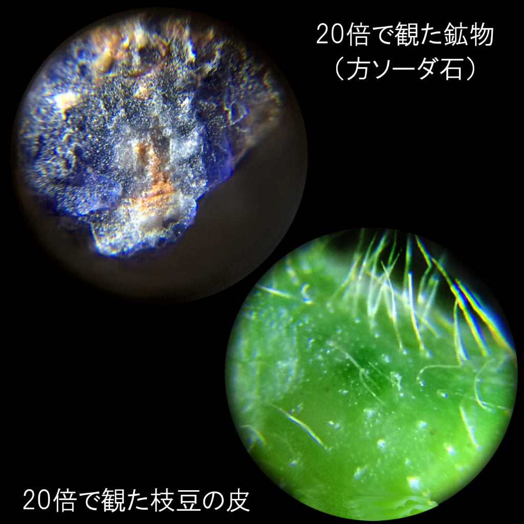 Raymay Fujii Handheld Microscope ‎RXT150M Handy Portable Science Student Petit