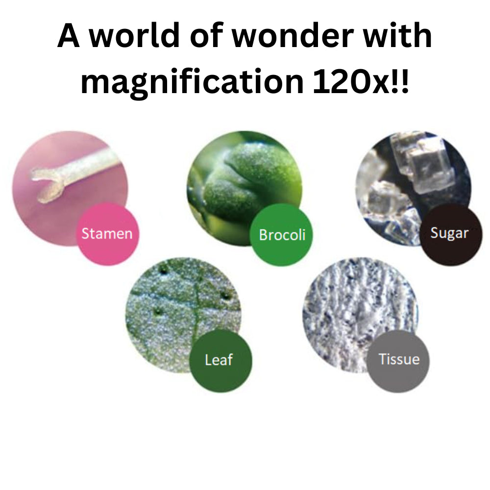 Raymay Fujii Handheld Microscope ‎RXT203N Handy Portable Science Student Zoom