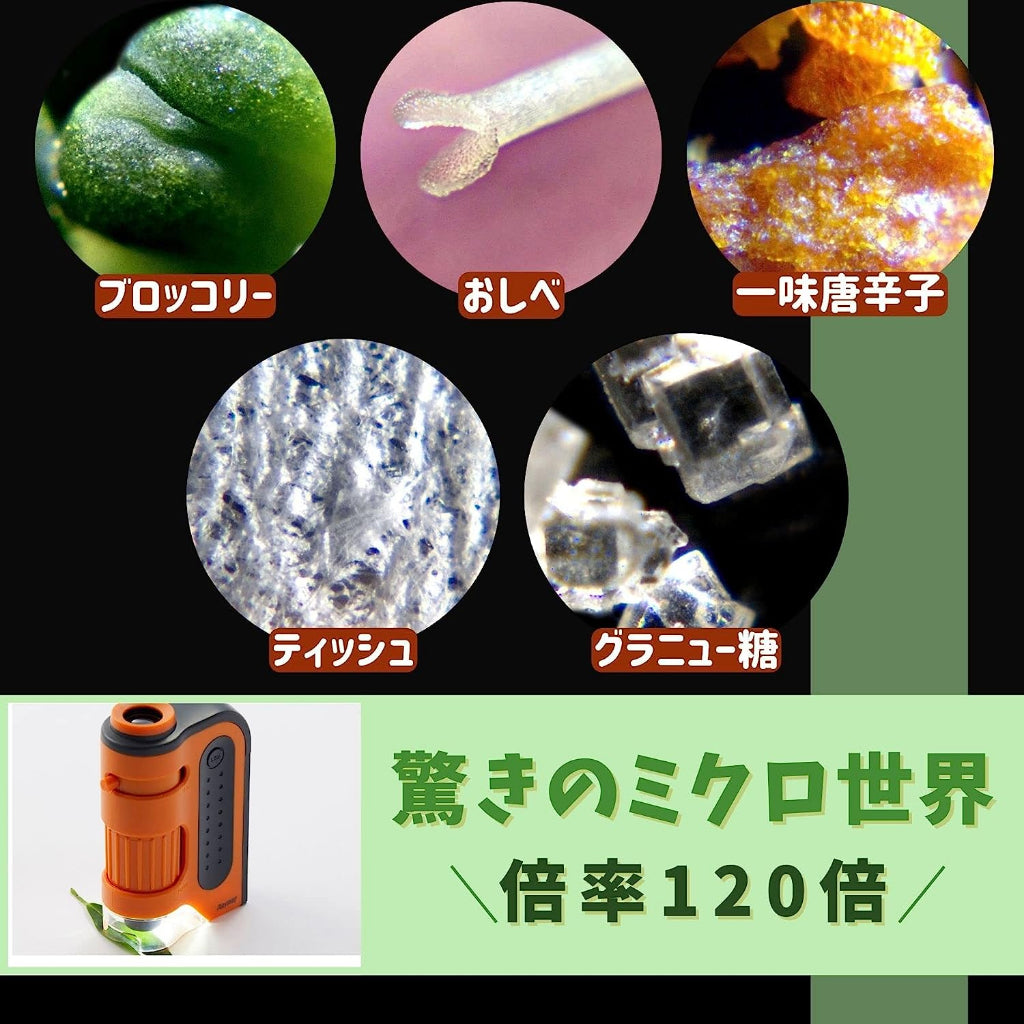 Raymay Fujii Handheld Microscope ‎RXT203N Handy Portable Science Student Zoom