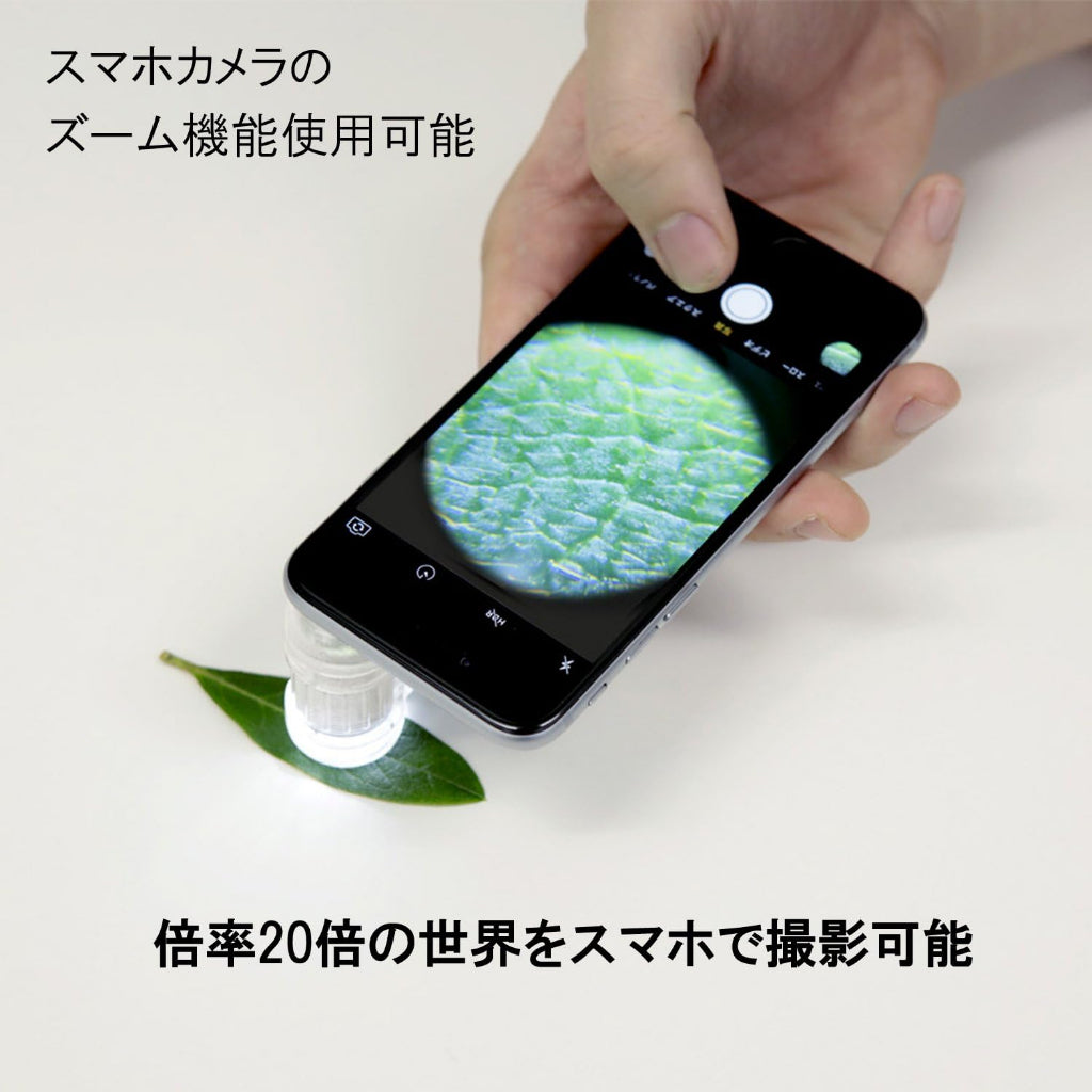 Raymay Fujii Handheld Microscope ‎RXT150M Handy Portable Science Student Petit
