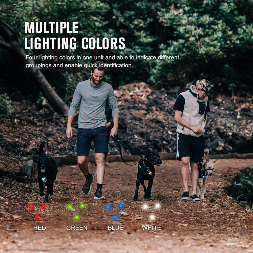 OLIGHT Gober Kit Safety Light, High Visibility LED Beacon Lights with 4 Lighting Modes, USB-C Rechargeable Flashing